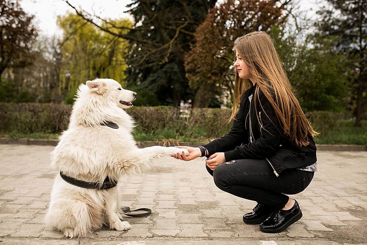 Temel İtaat Eğitimi